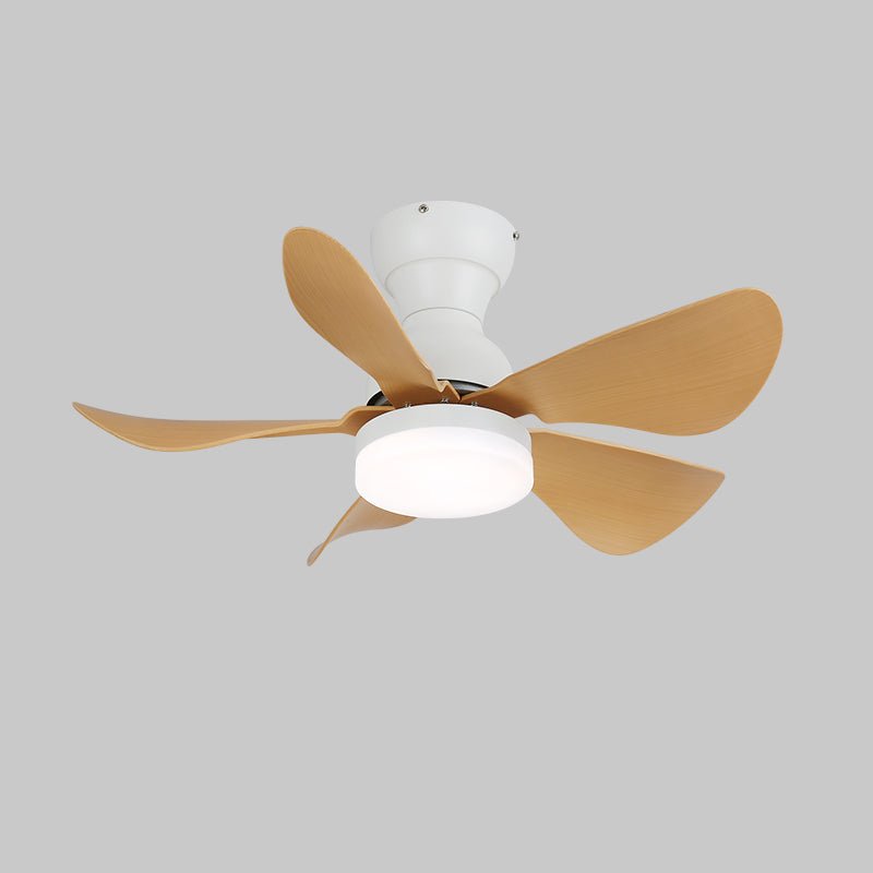 Zoreefa Ceiling Fan Light