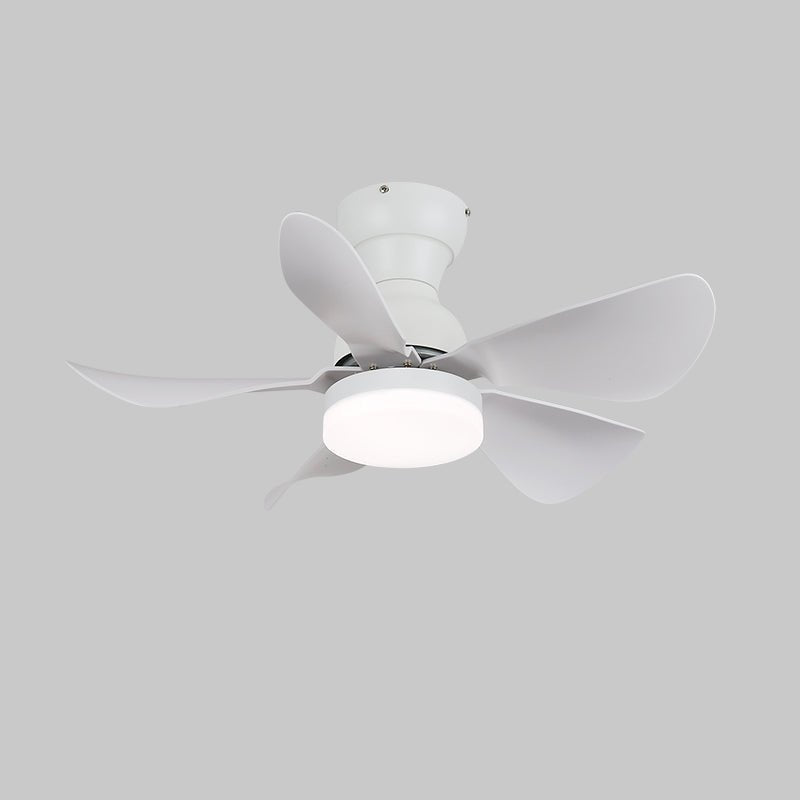 Zoreefa Ceiling Fan Light