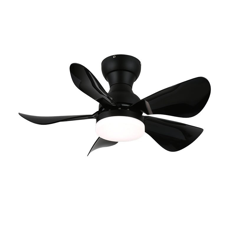 Zoreefa Ceiling Fan Light