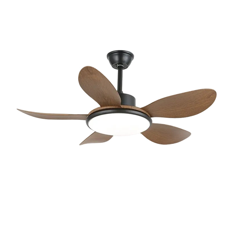 Aselano Ceiling Fan Light