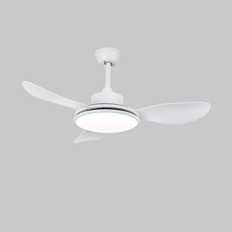 Aselano Ceiling Fan Light