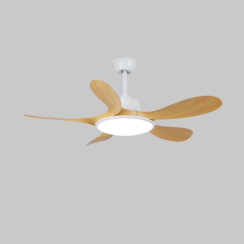 Aselano Ceiling Fan Light
