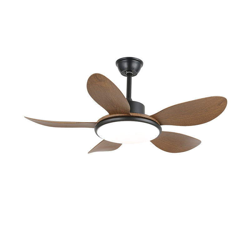 Aselano Ceiling Fan Light