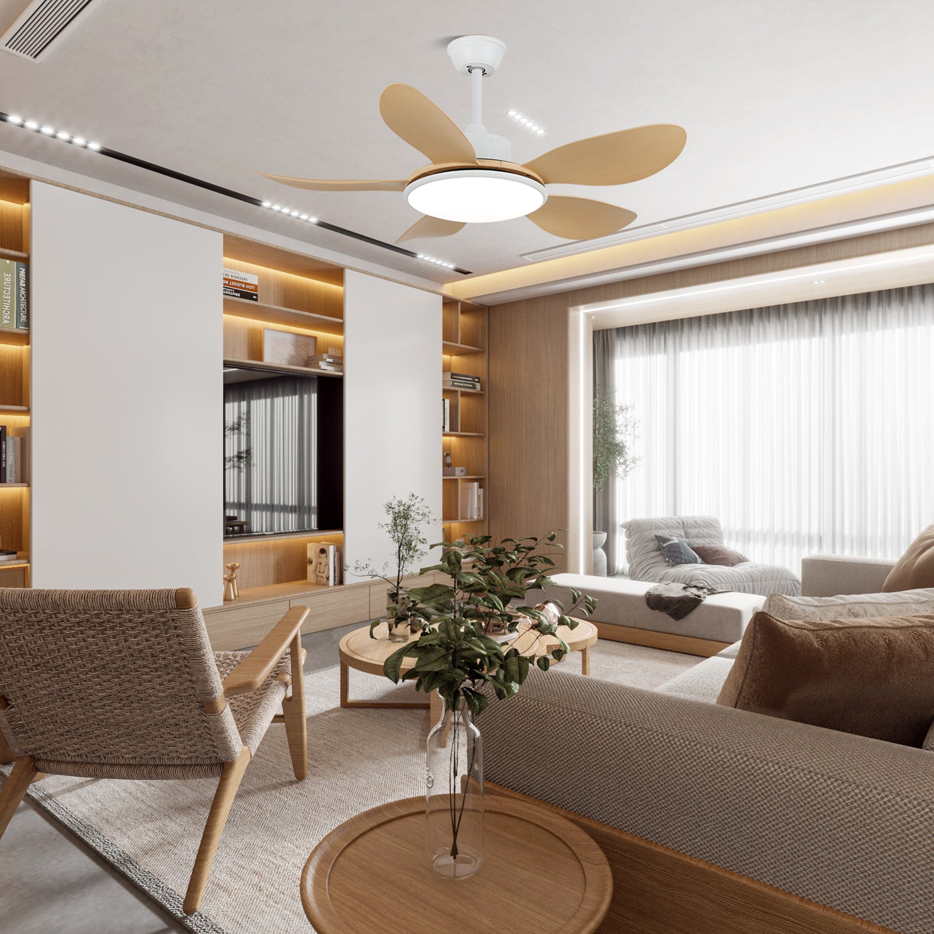Aselano Ceiling Fan Light