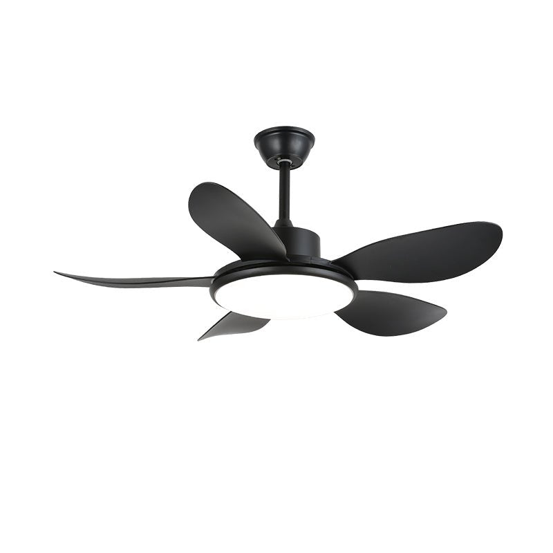 Aselano Ceiling Fan Light