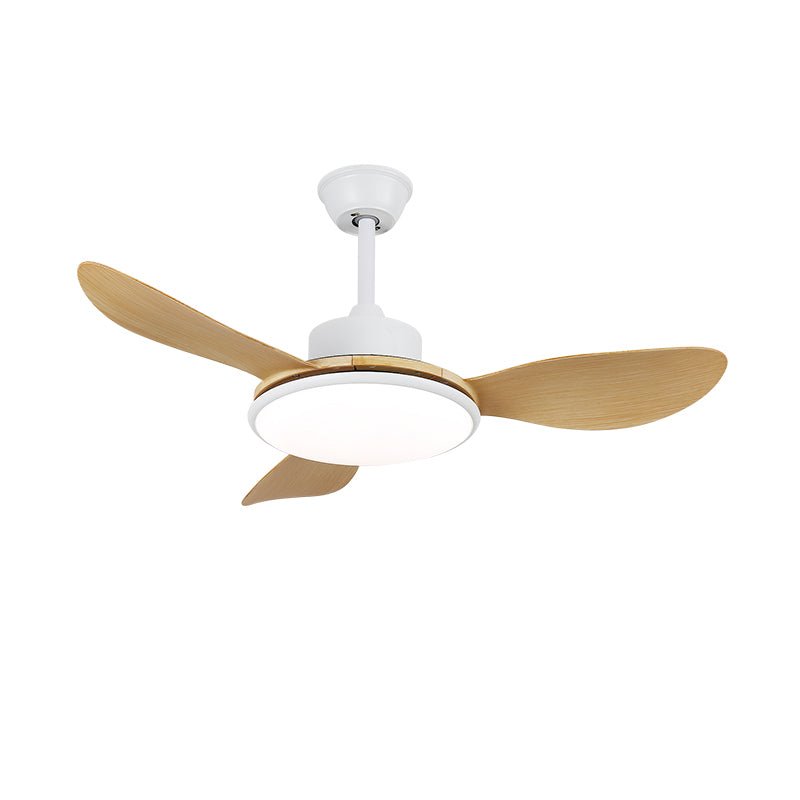 Aselano Ceiling Fan Light