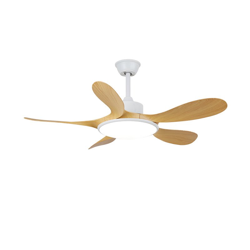 Aselano Ceiling Fan Light