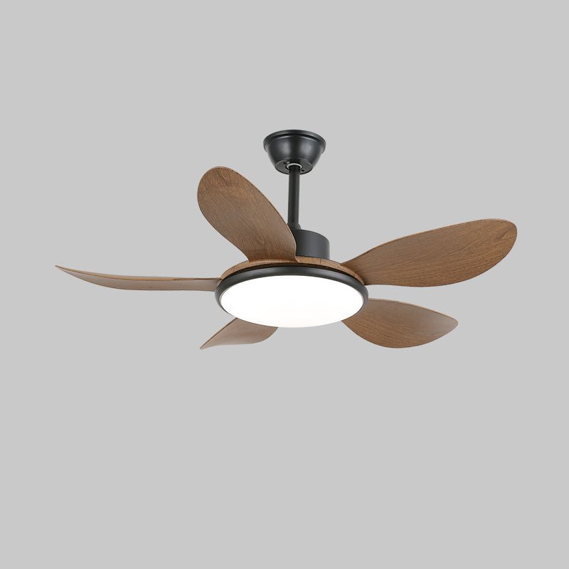 Aselano Ceiling Fan Light