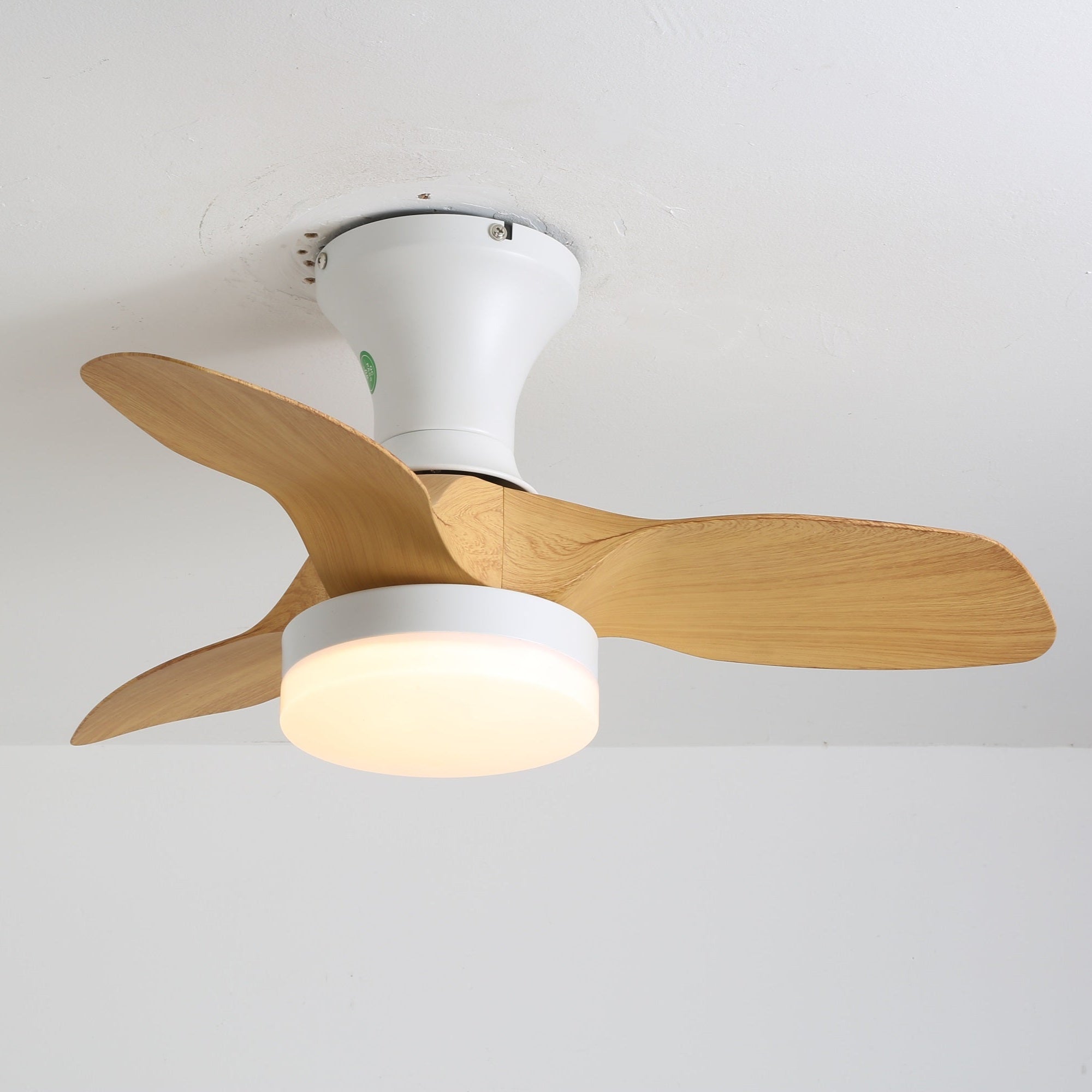 Avolin Ceiling Fan Light