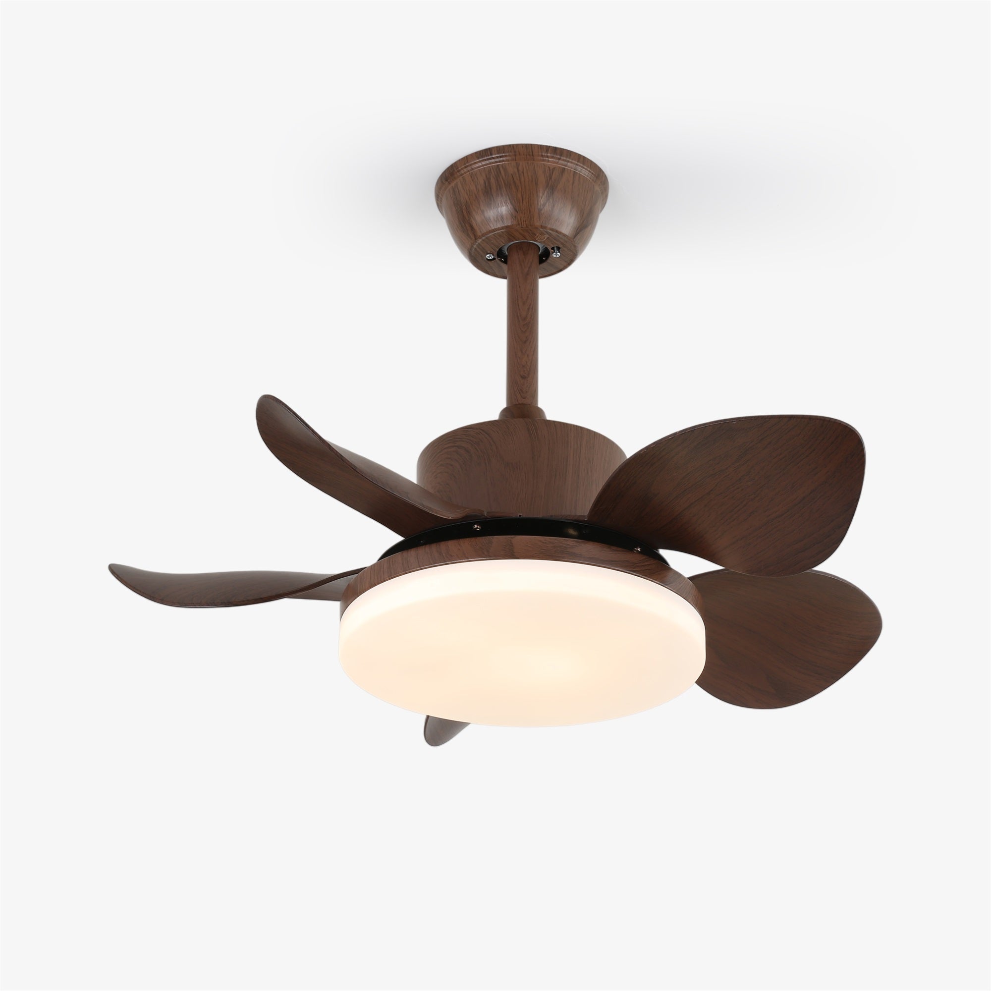 Yoreva Ceiling Fan Light