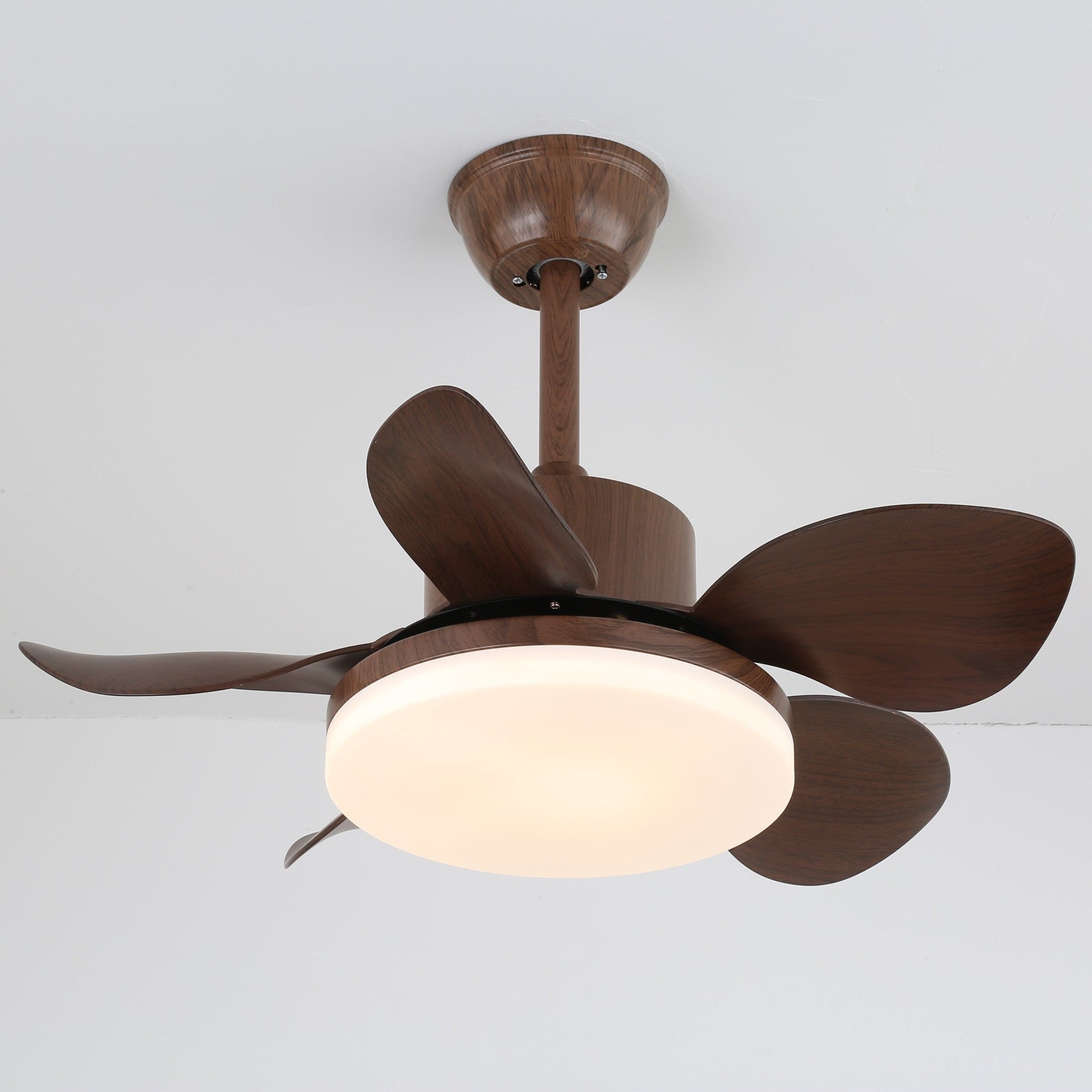 Yoreva Ceiling Fan Light
