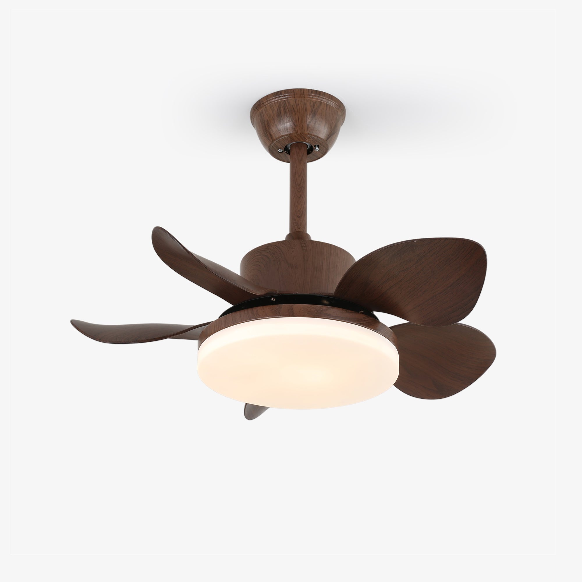 Yoreva Ceiling Fan Light