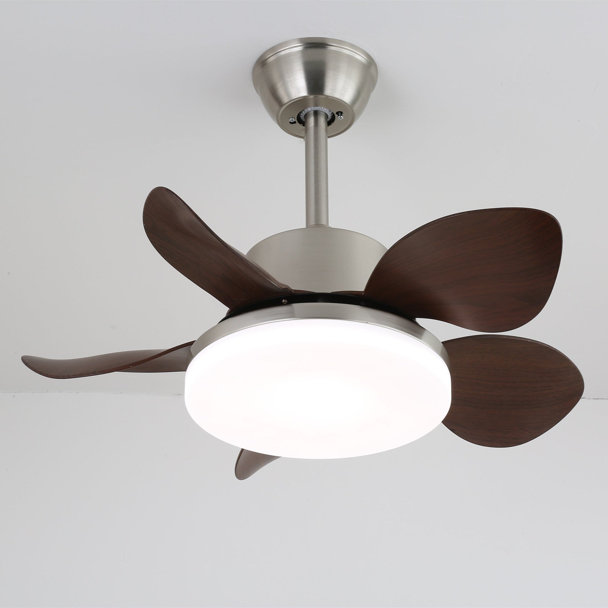 Yoreva Ceiling Fan Light