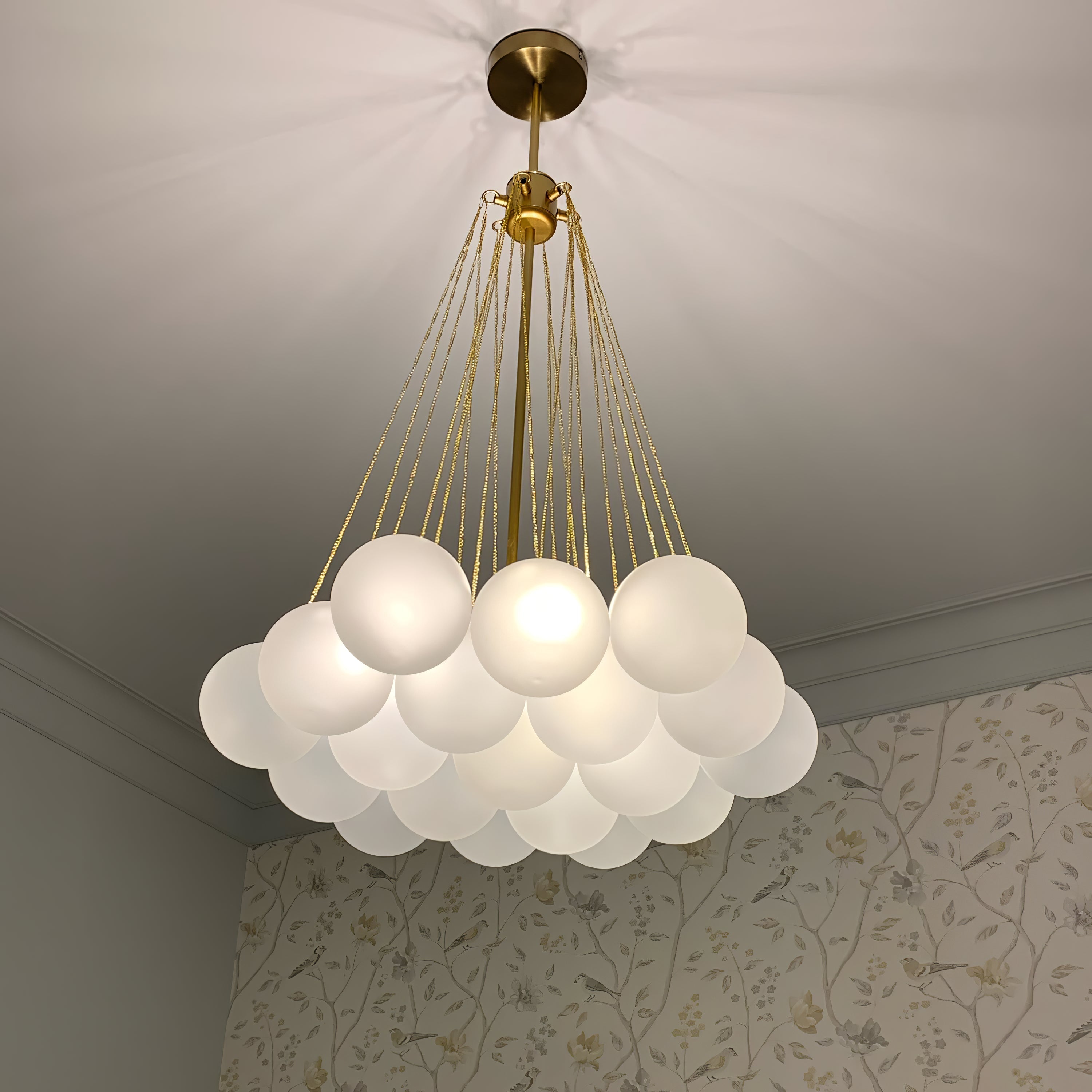 Aloralo Globe Chandelier