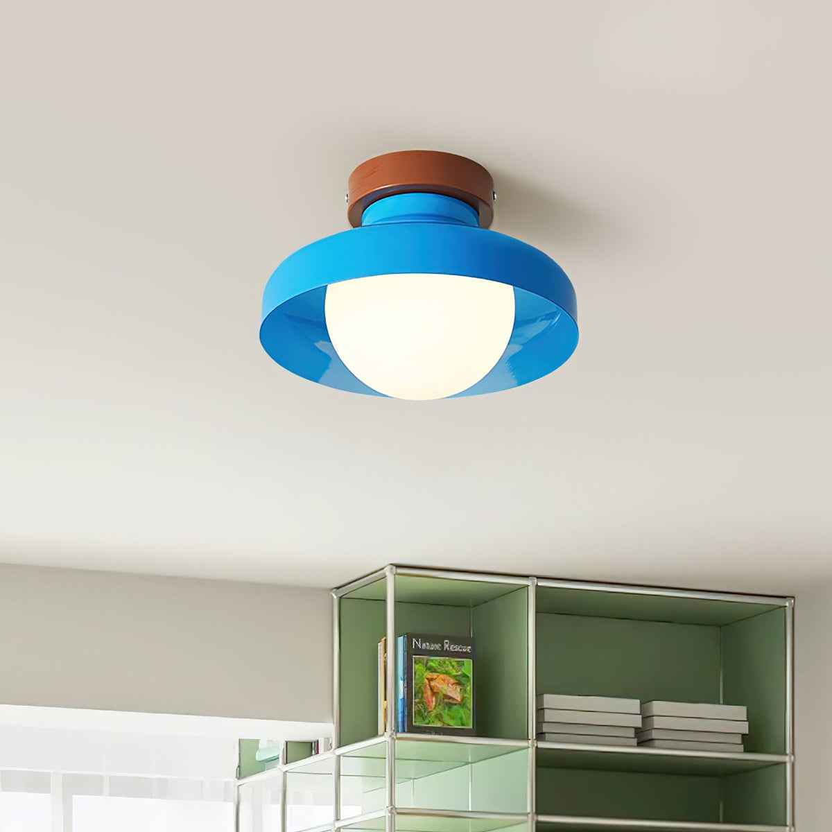 Edarelo Outdoor Ceiling Light