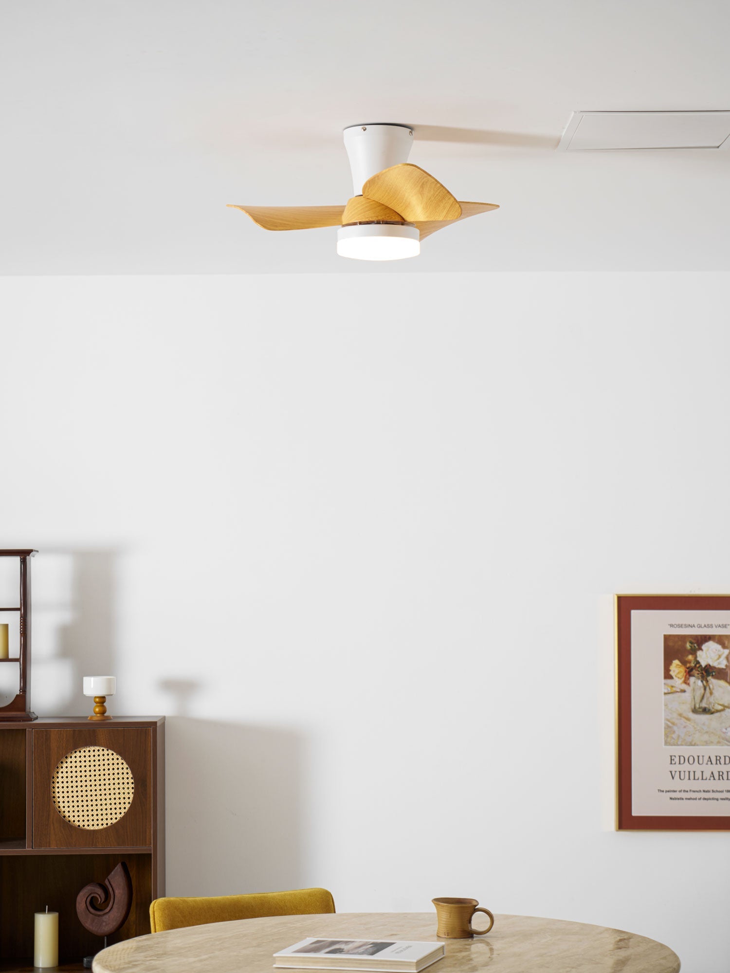 Eloren Ceiling Fan Light