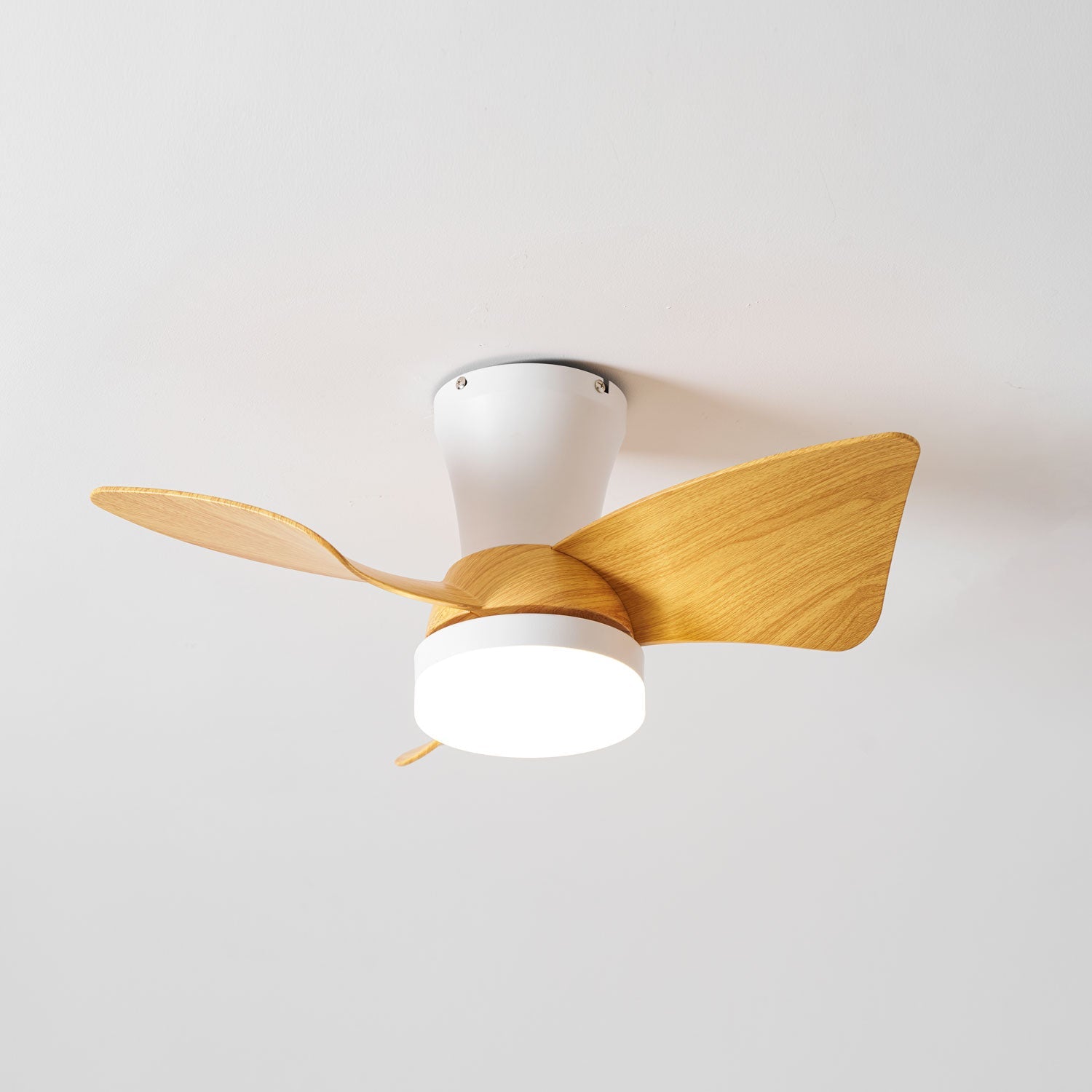 Eloren Ceiling Fan Light