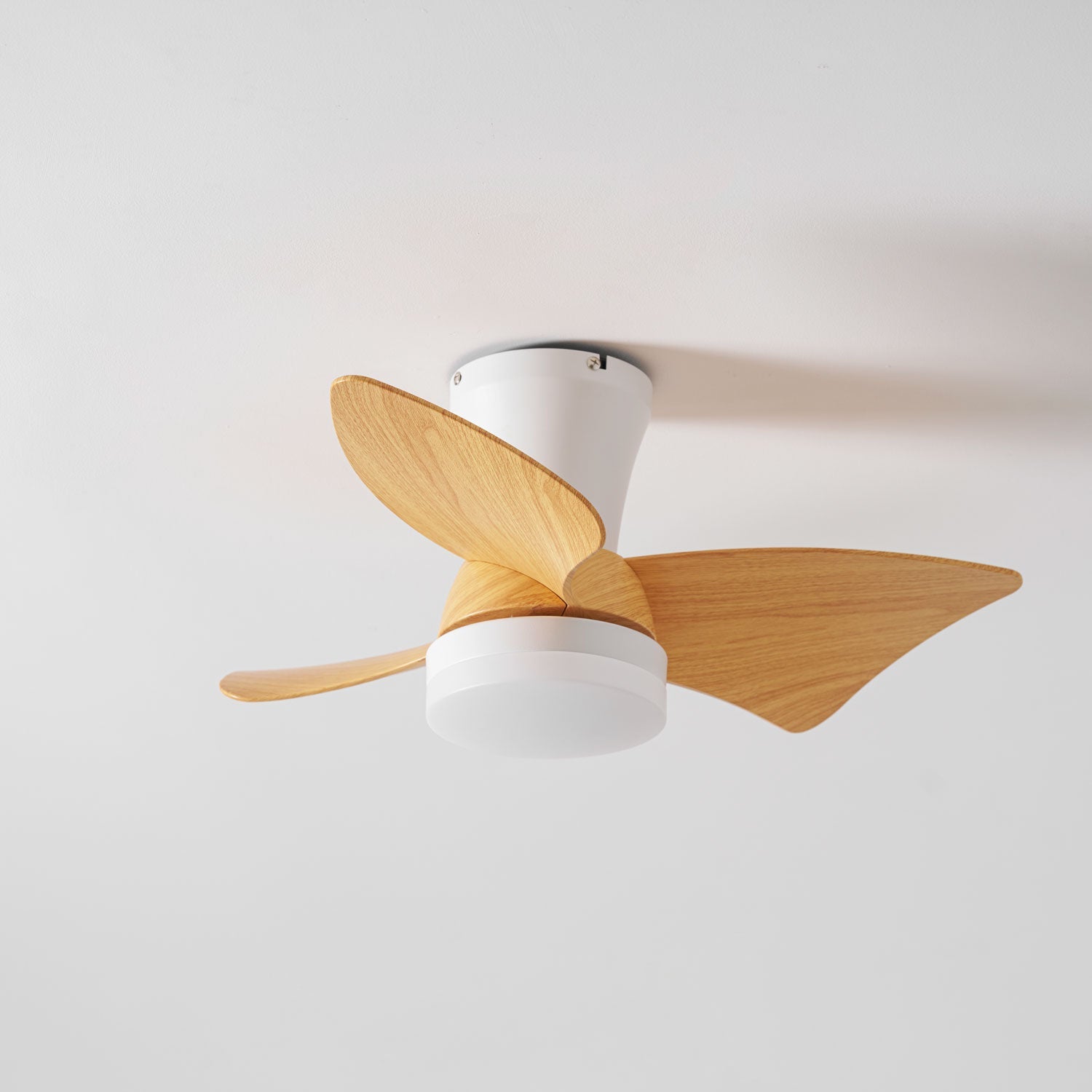Eloren Ceiling Fan Light