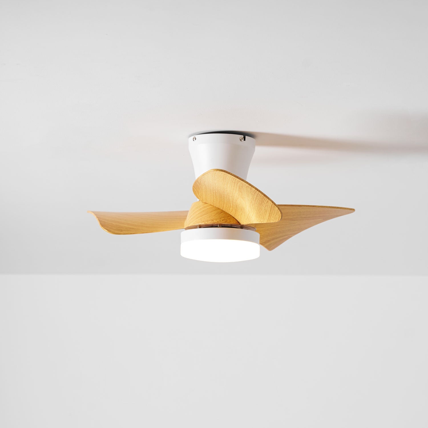 Eloren Ceiling Fan Light