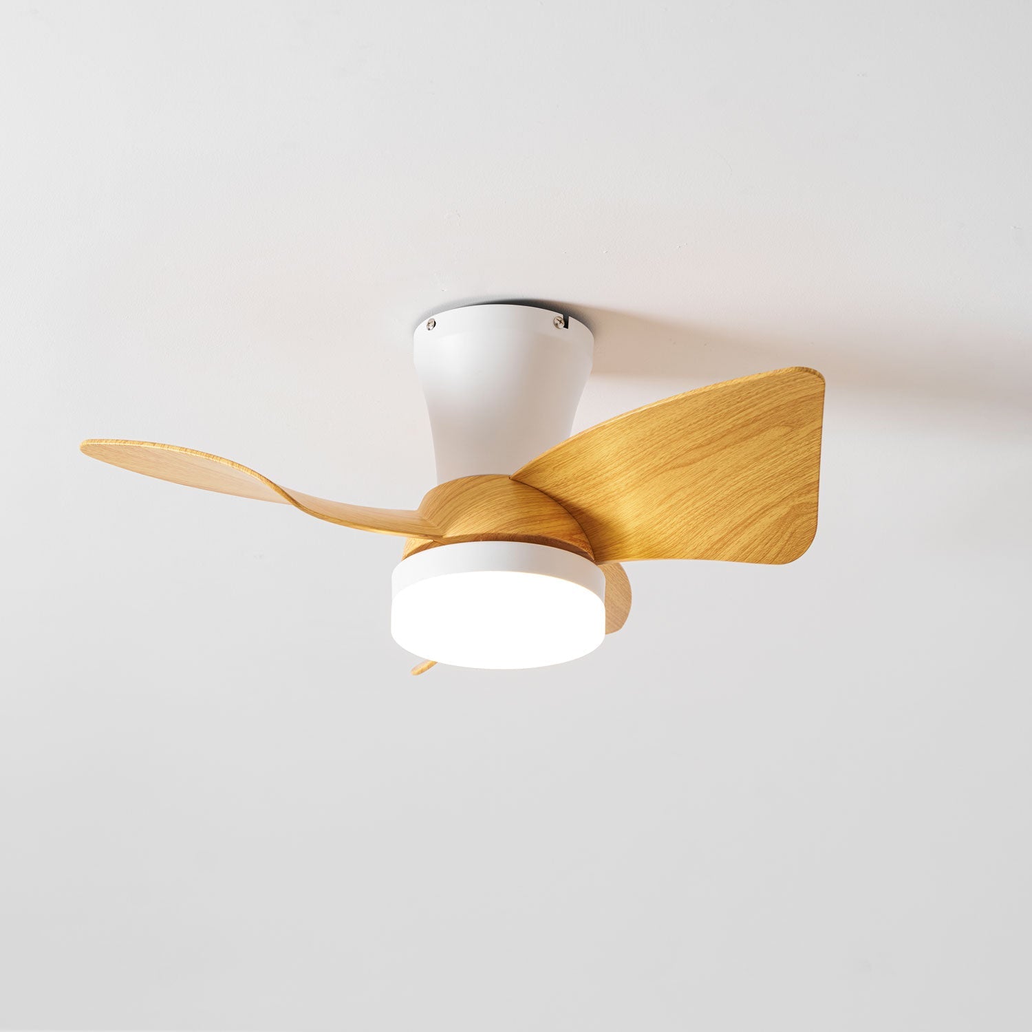 Eloren Ceiling Fan Light