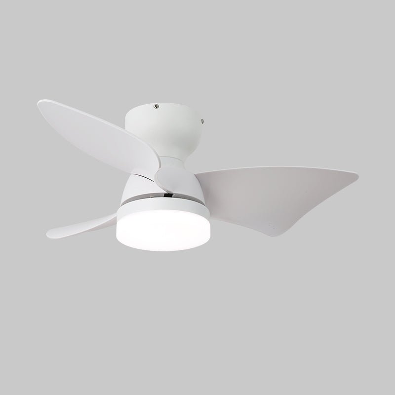 Eloren Ceiling Fan Light