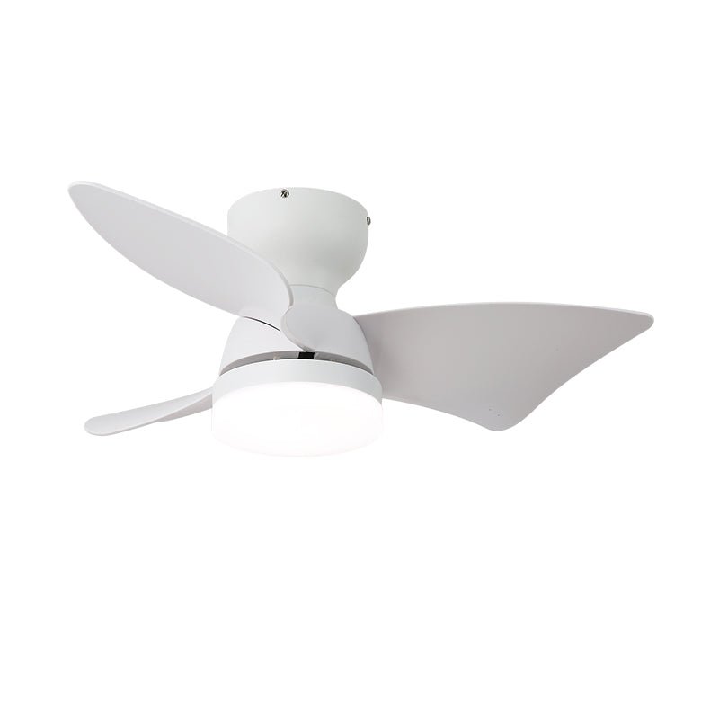 Eloren Ceiling Fan Light