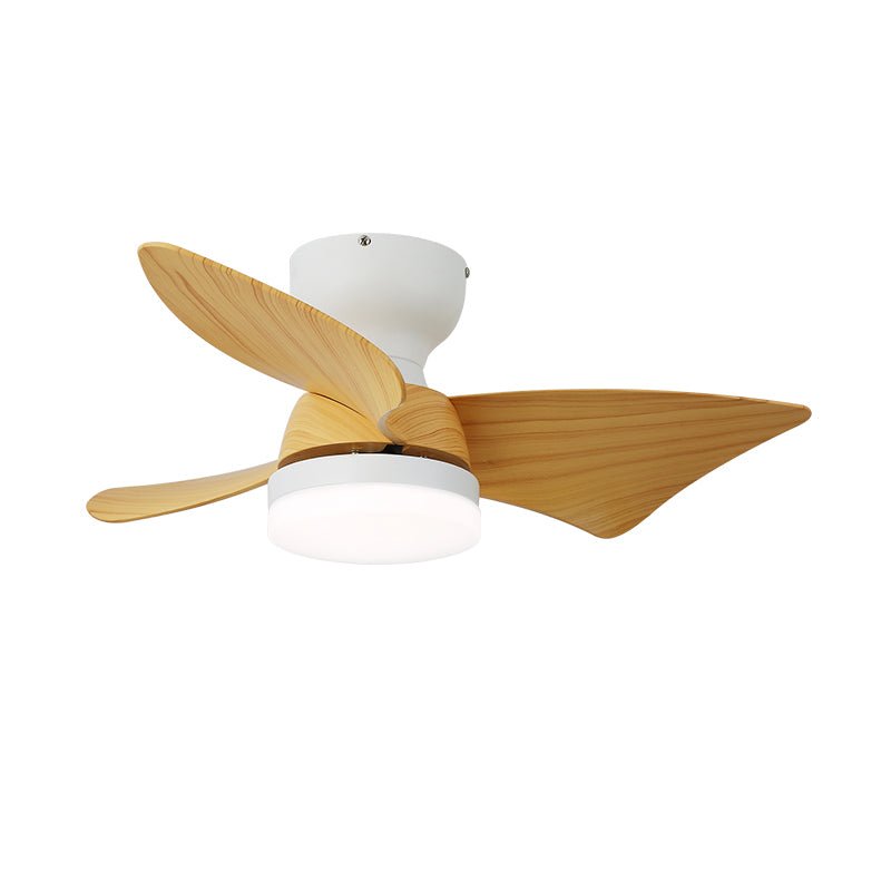 Eloren Ceiling Fan Light