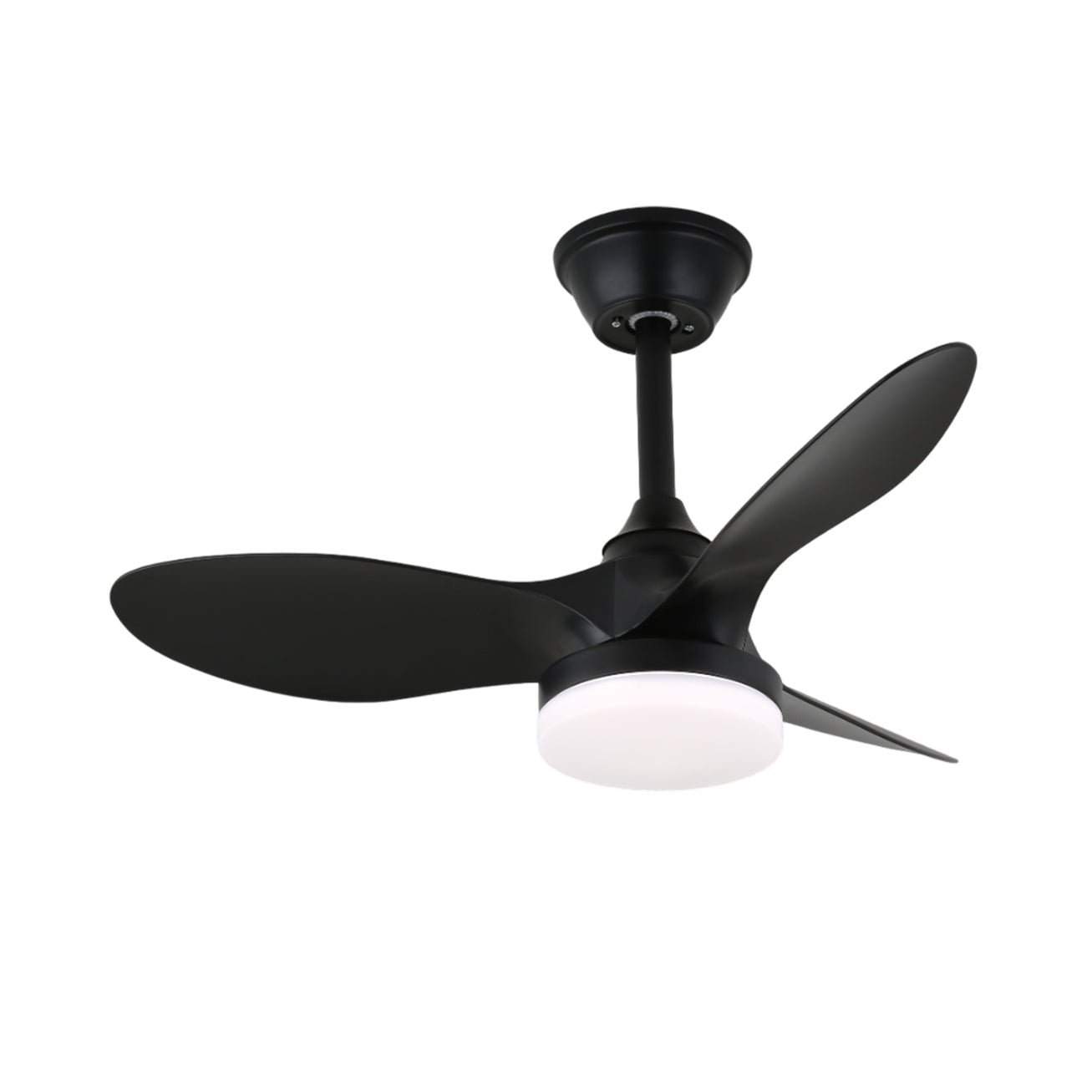 Orenvo Ceiling Fan Light