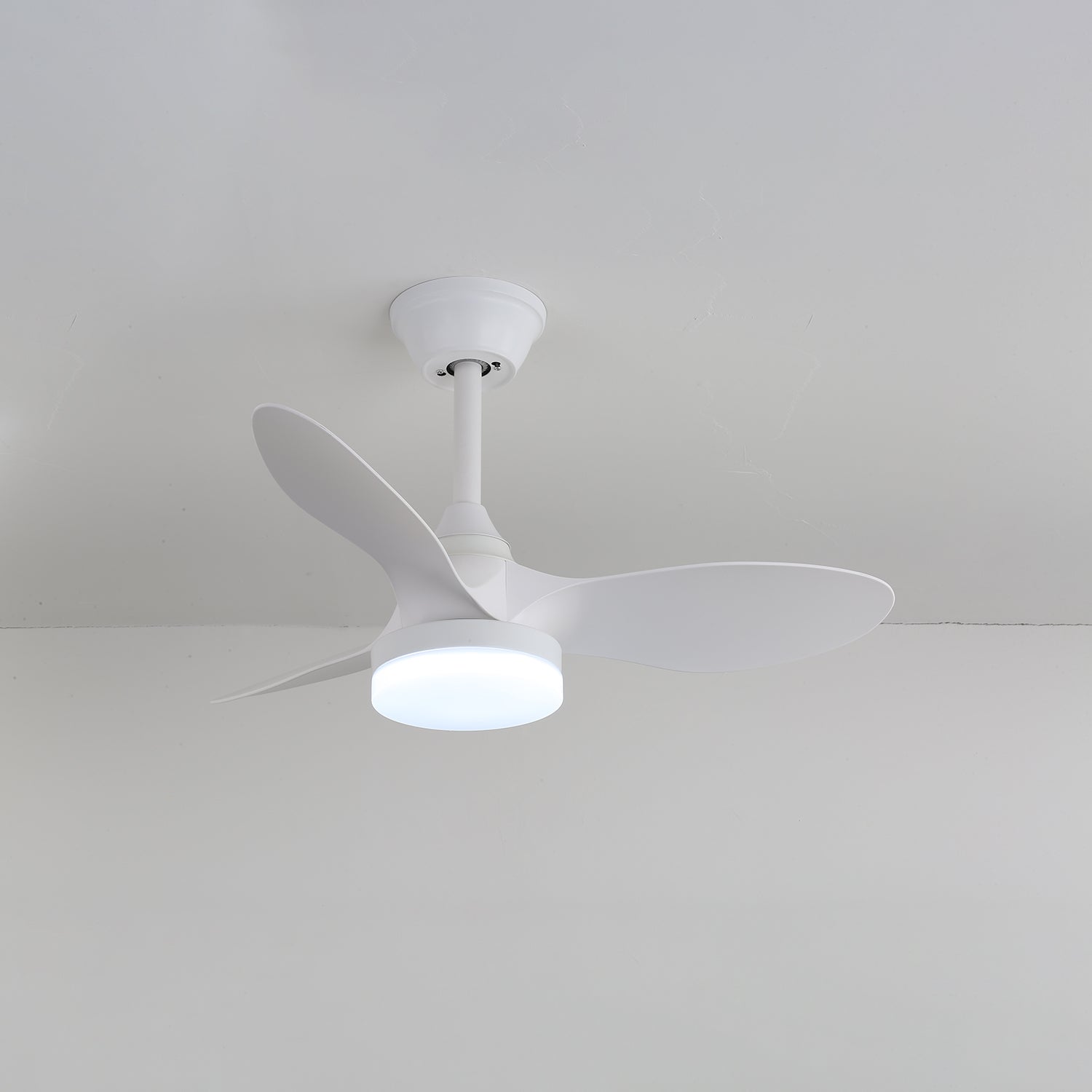 Orenvo Ceiling Fan Light