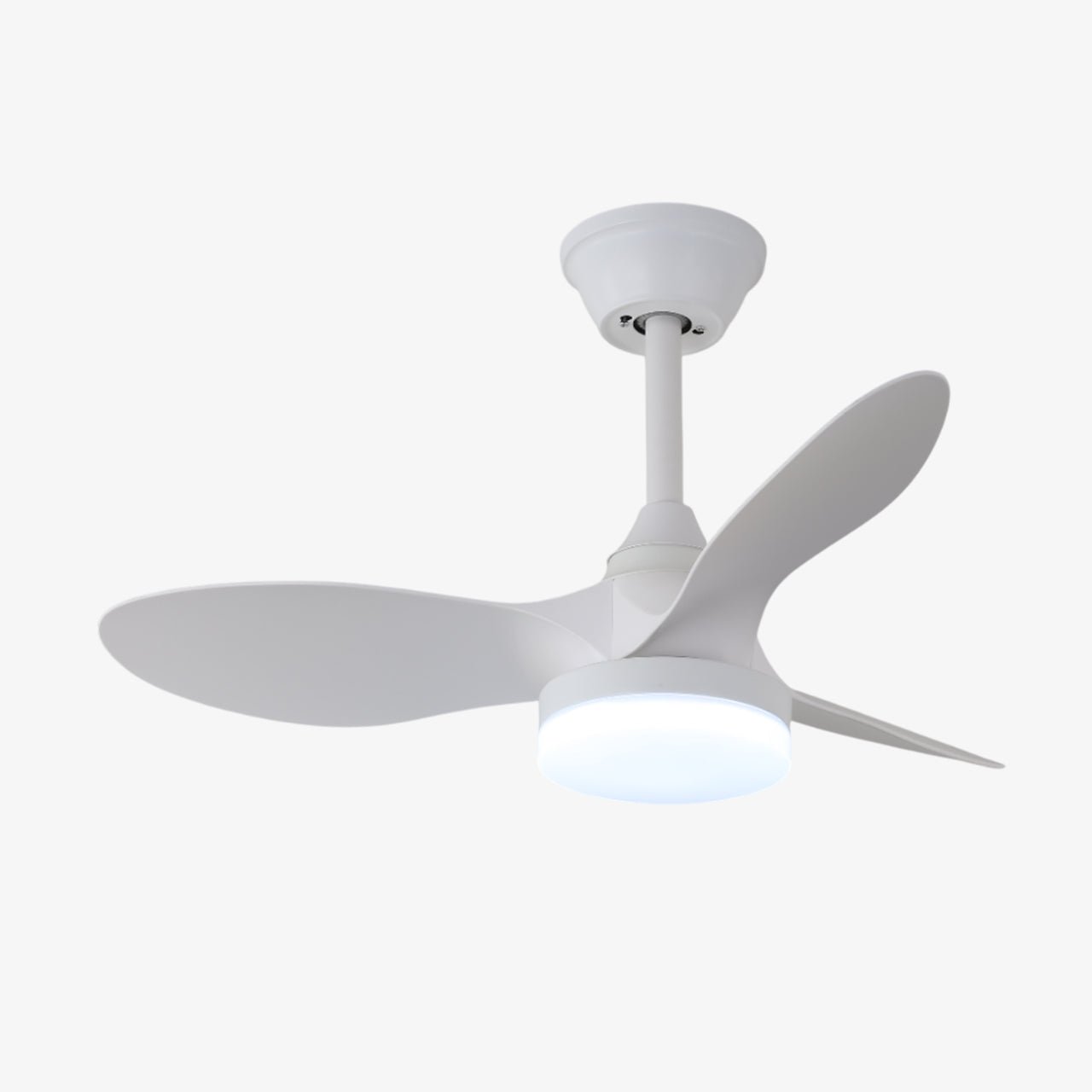 Orenvo Ceiling Fan Light