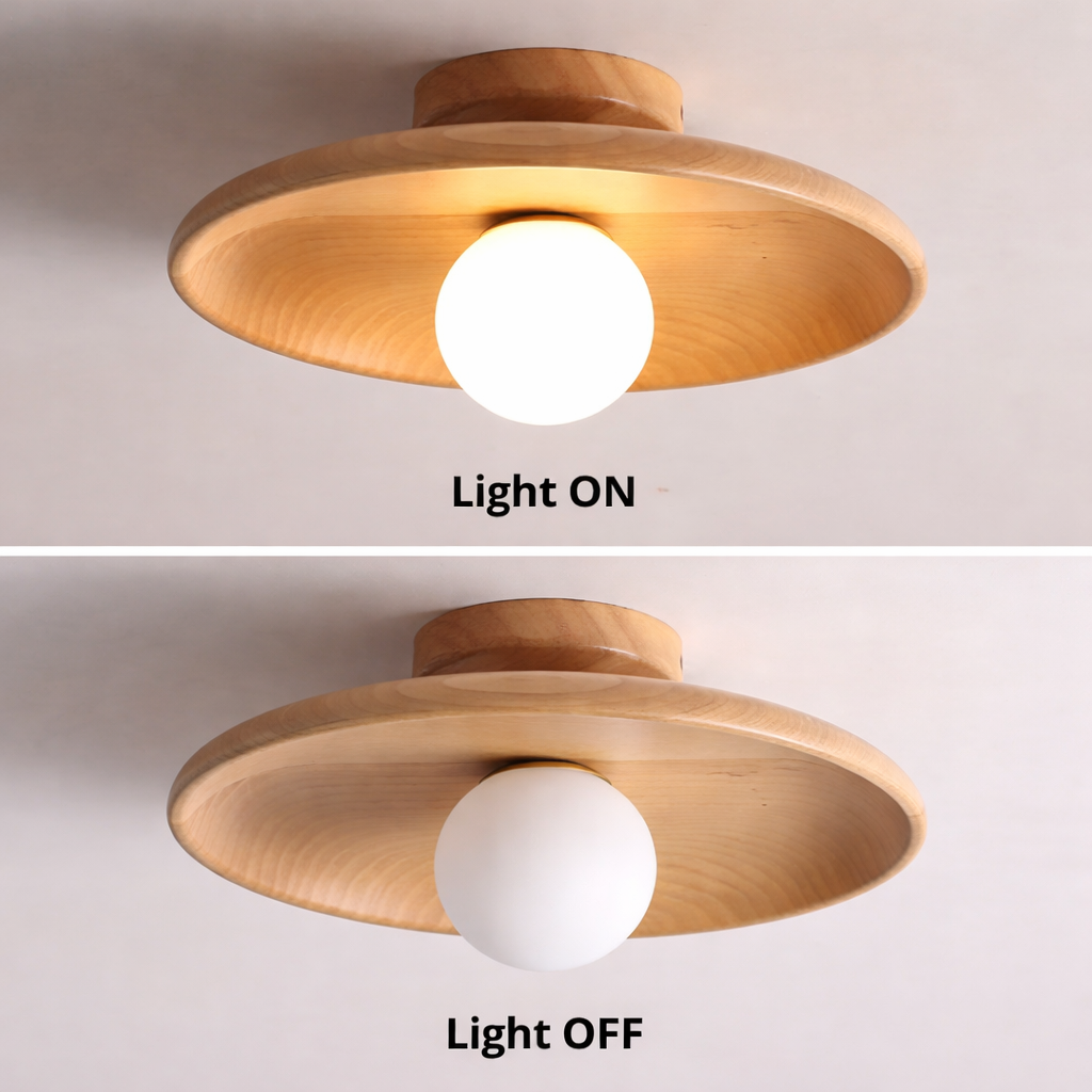 Losento Ceiling Light