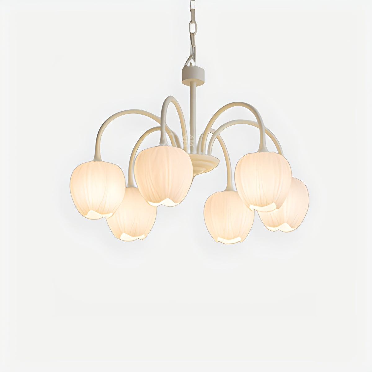 Crovilo Chandelier