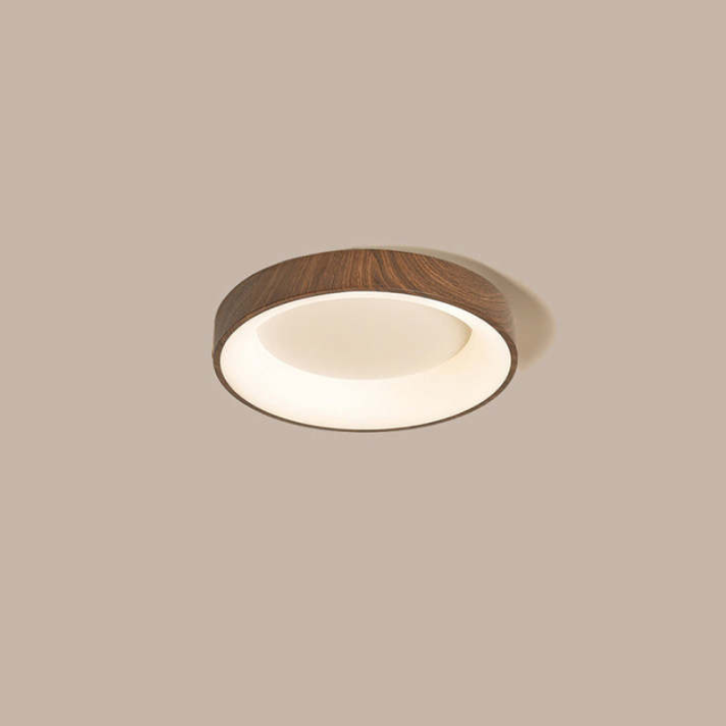Olenera Ceiling Light