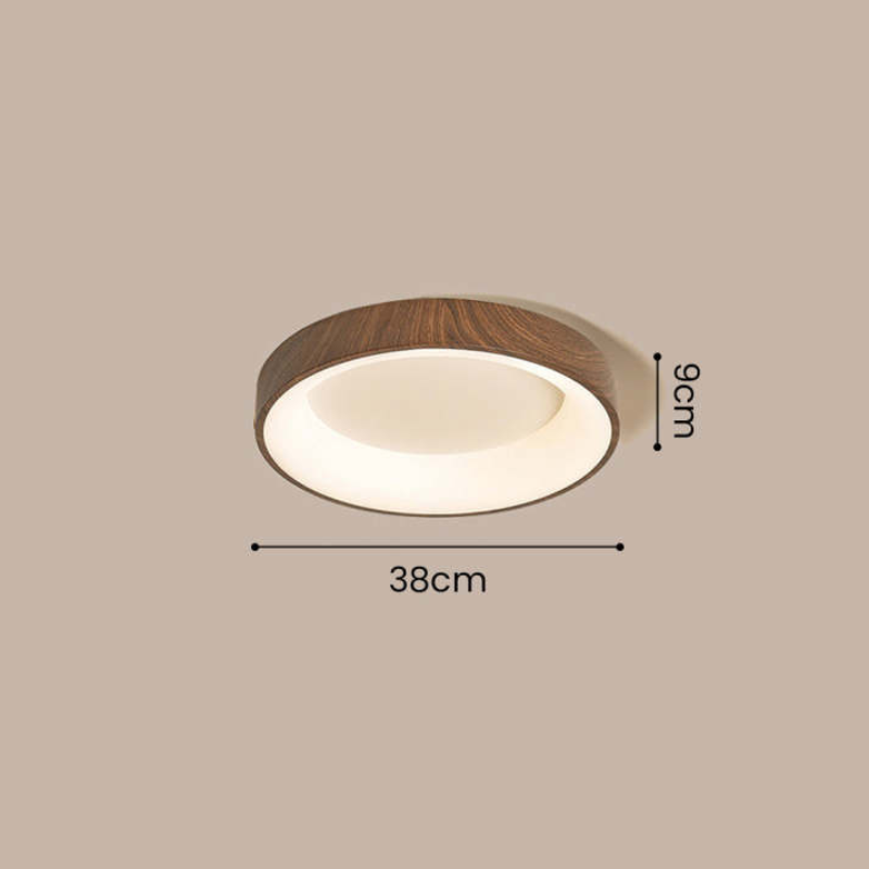 Olenera Ceiling Light