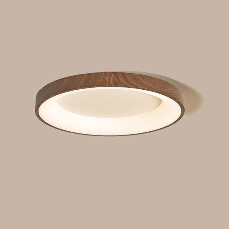 Olenera Ceiling Light