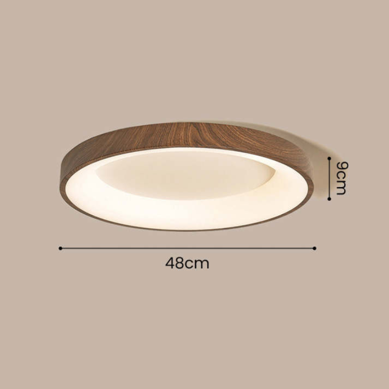 Olenera Ceiling Light