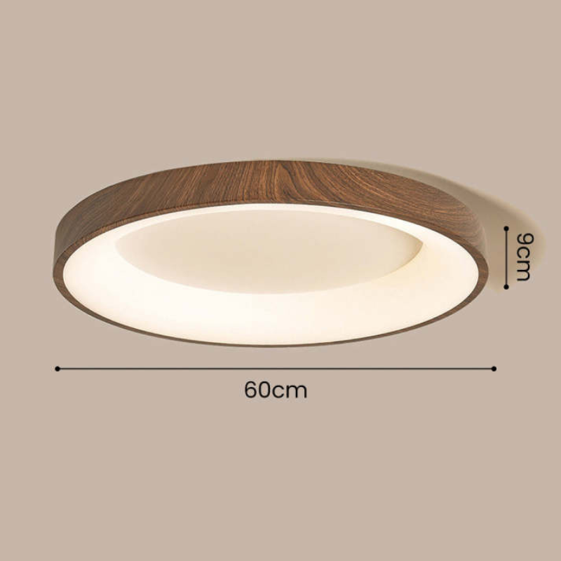 Olenera Ceiling Light