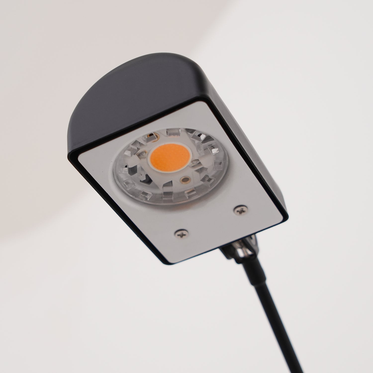 Belderix Floor Lamp