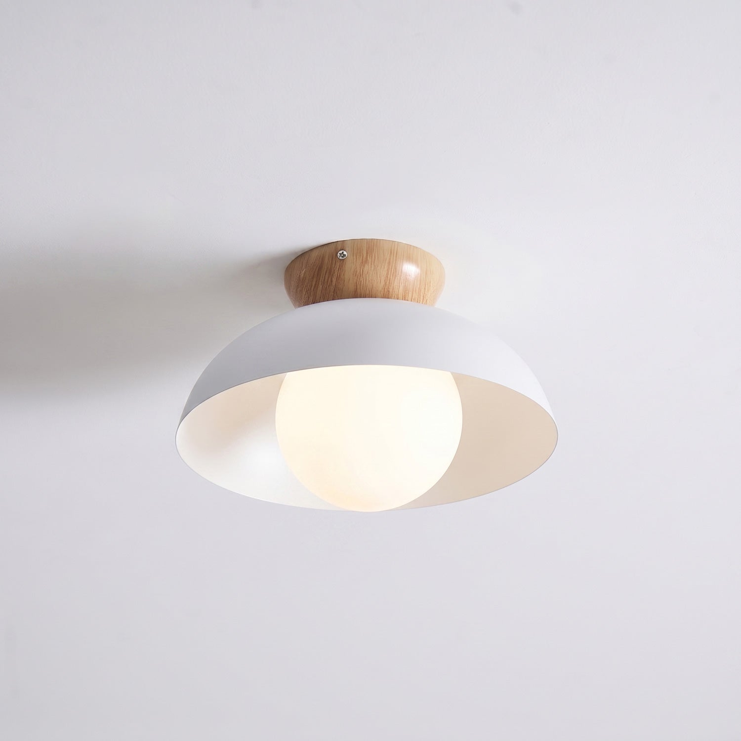 Ararala Modern Ceiling Light
