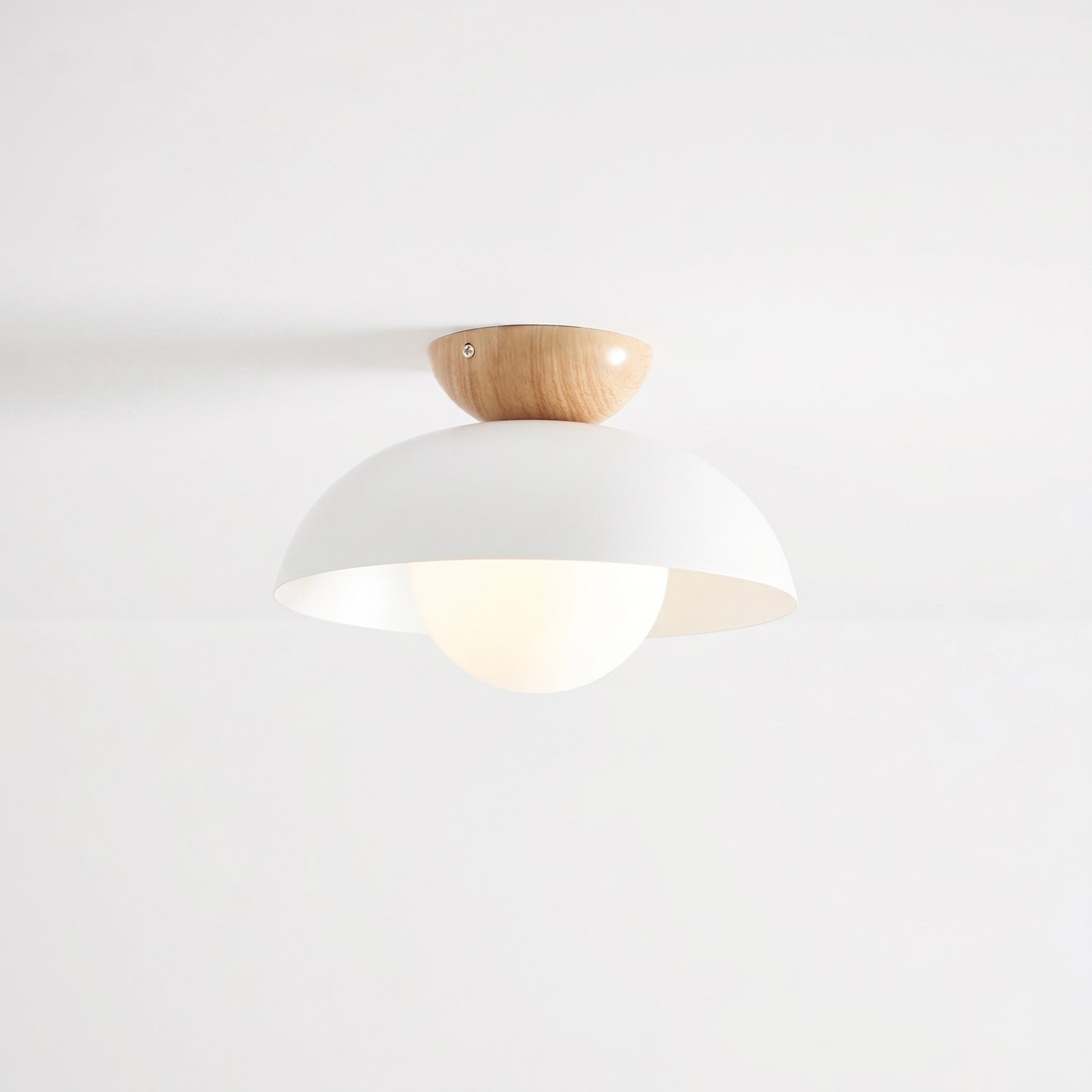 Ararala Modern Ceiling Light