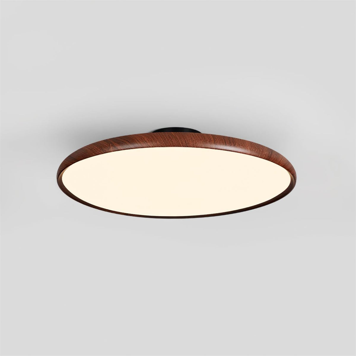 Dibu Ceiling Light