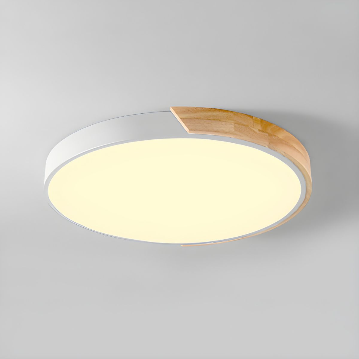 Selvon Round Ceiling Light