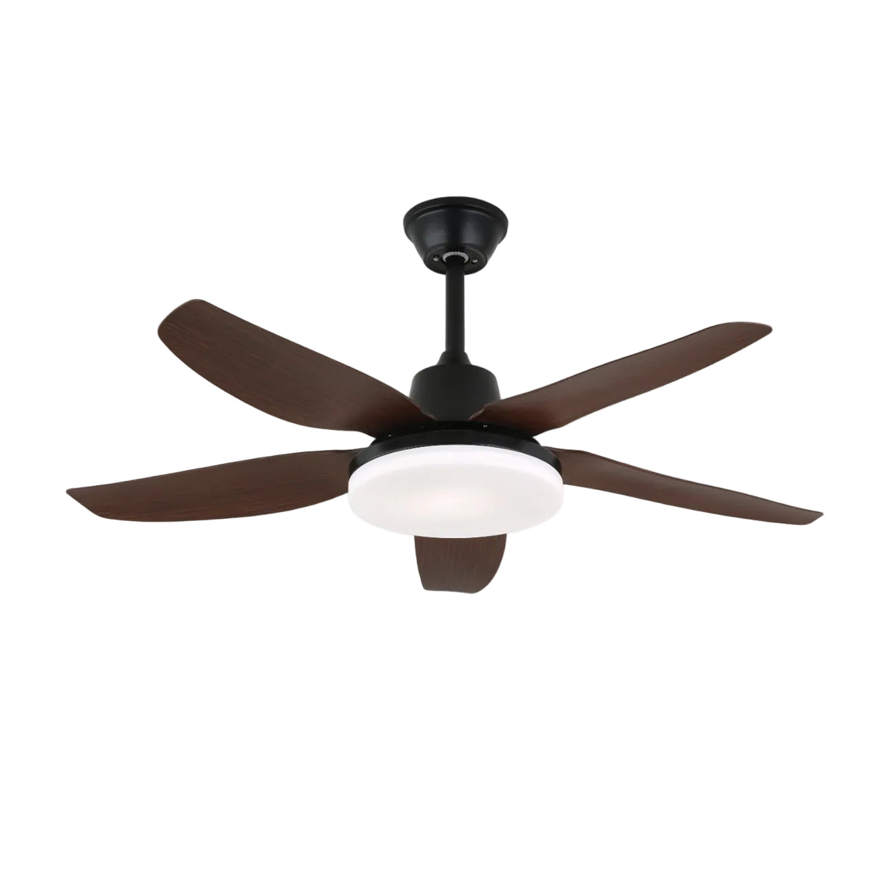Baliva Ceiling Fan Light