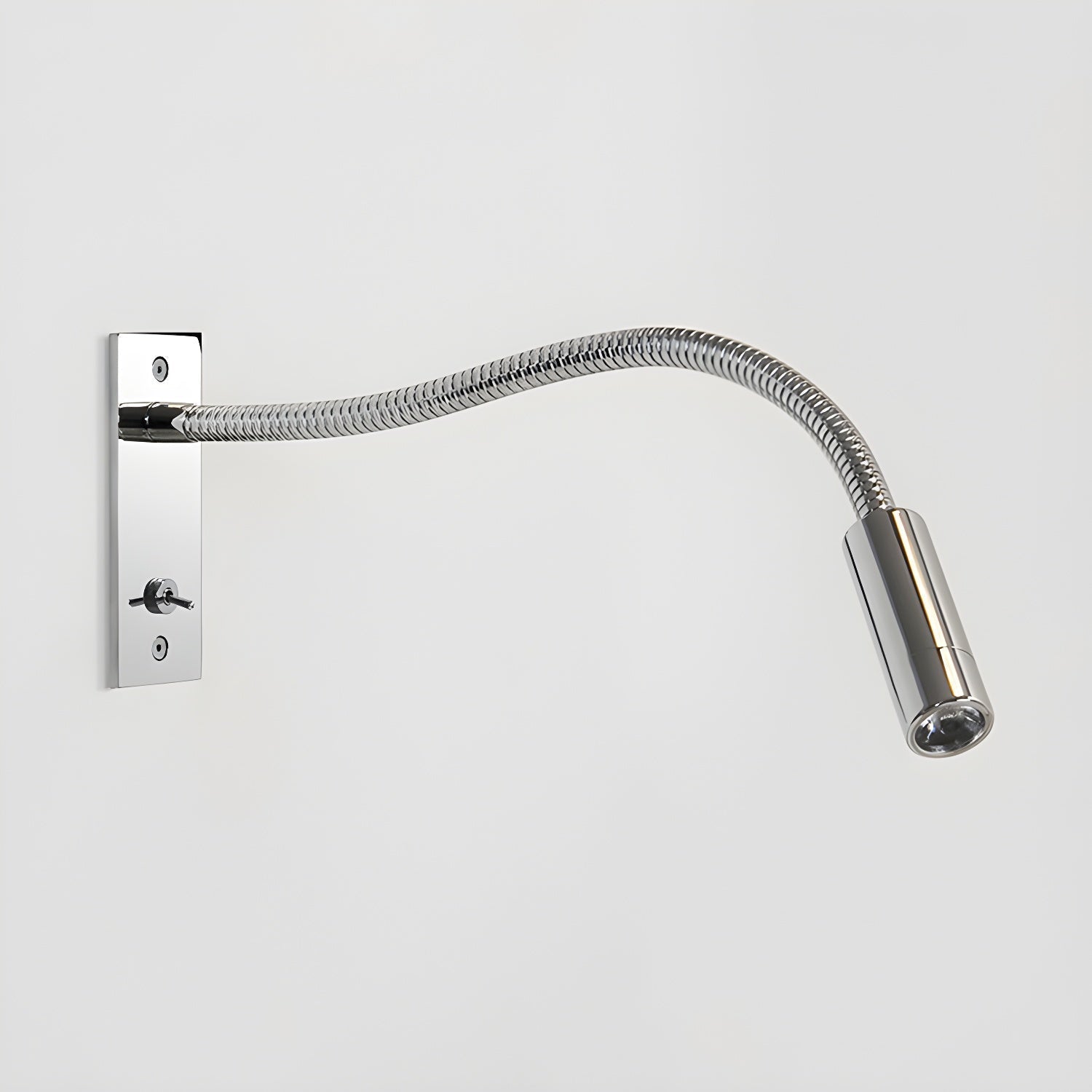 Rozmel Gooseneck Wall Light