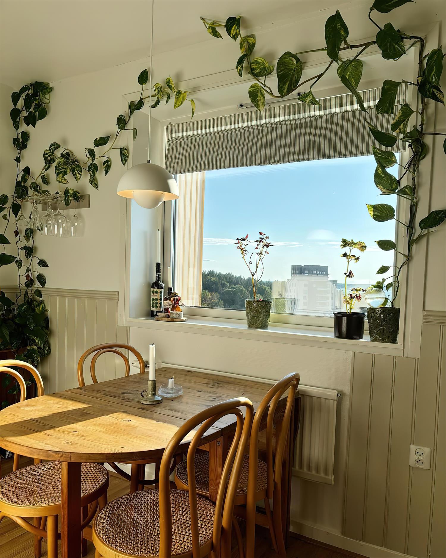 Poscon Plug In Pendant Light