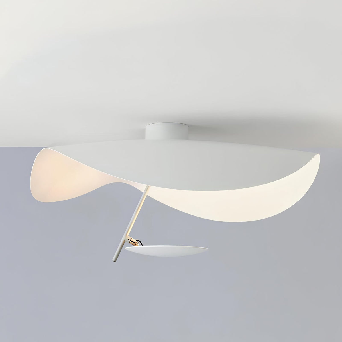 Edaro Sculptural Ceiling Light