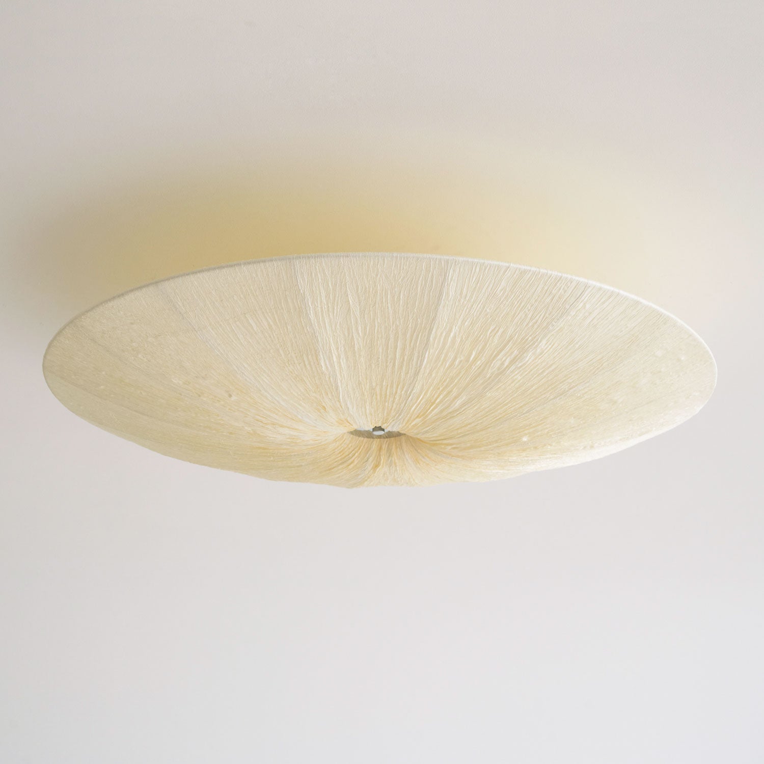 Olarza Tassel Ceiling Light