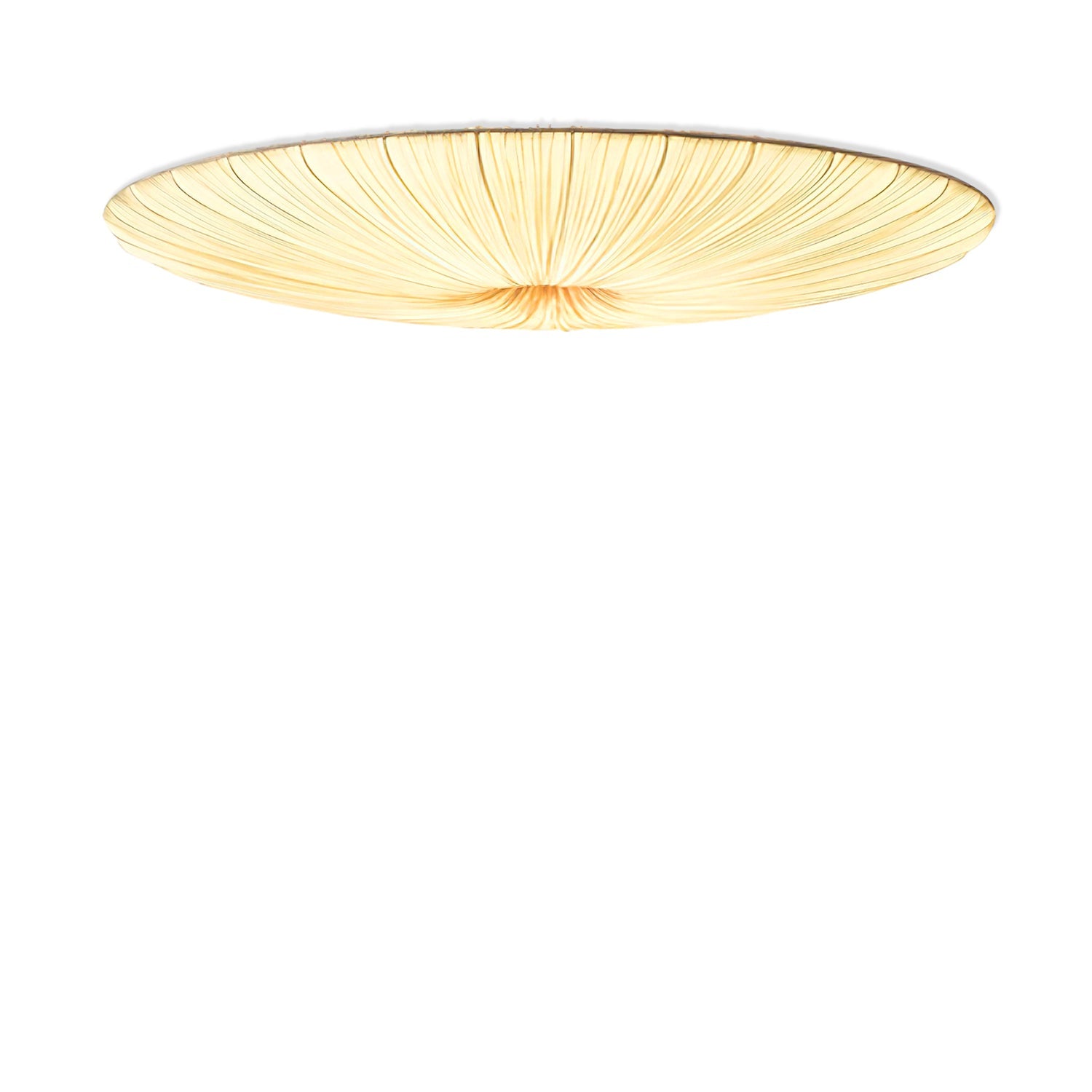 Olarza Tassel Ceiling Light