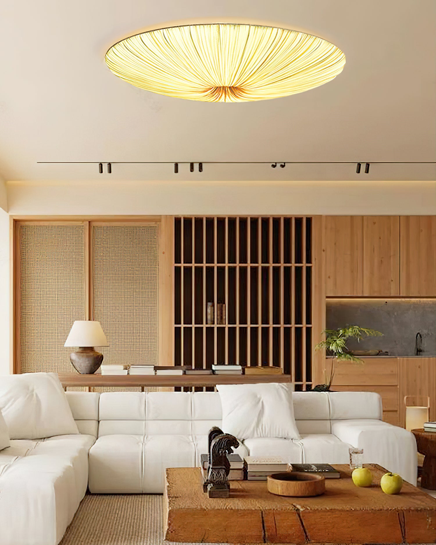 Olarza Tassel Ceiling Light