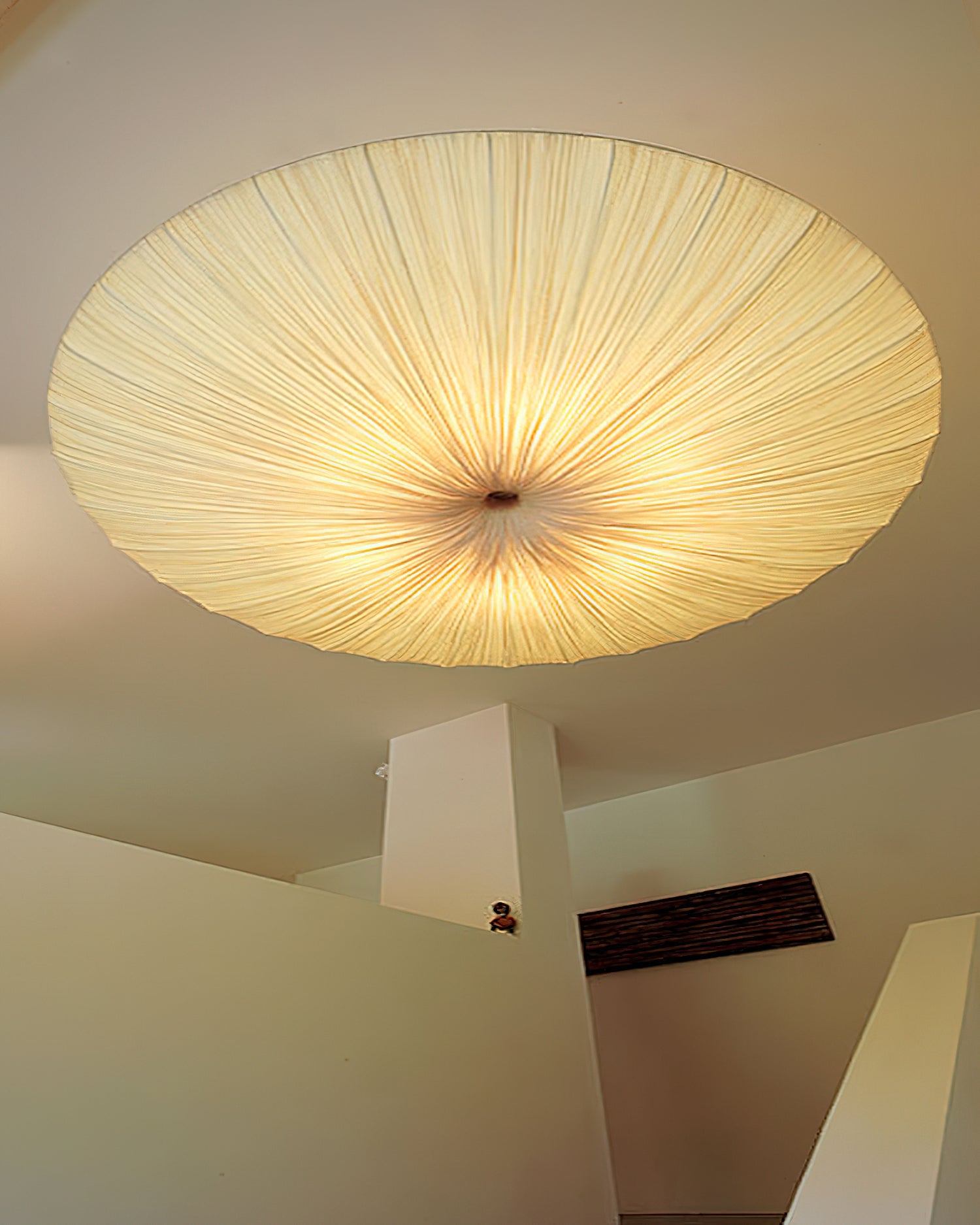 Olarza Tassel Ceiling Light